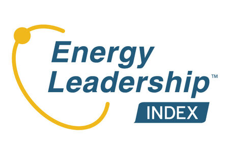 ELI Energy Leadership Index: self-awareness 