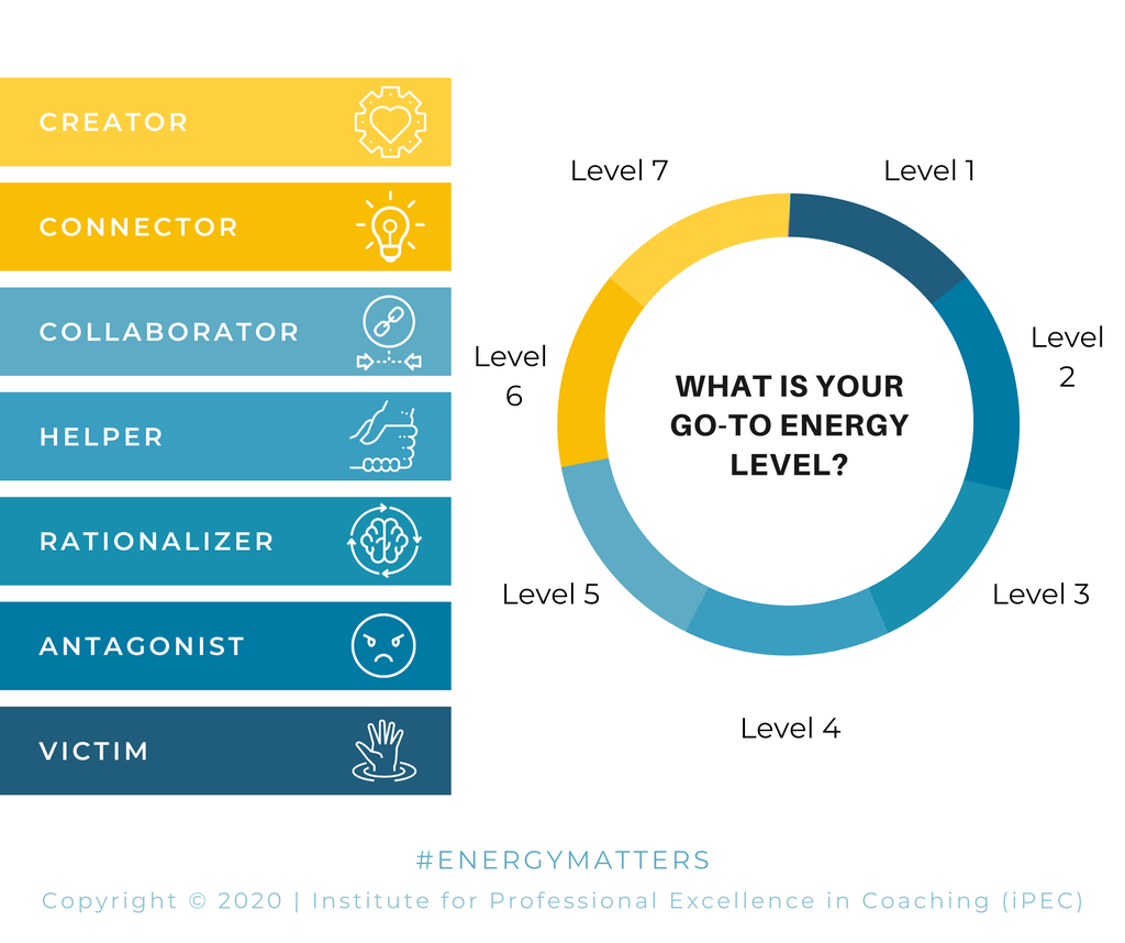 Energy Leadership Index Assessment